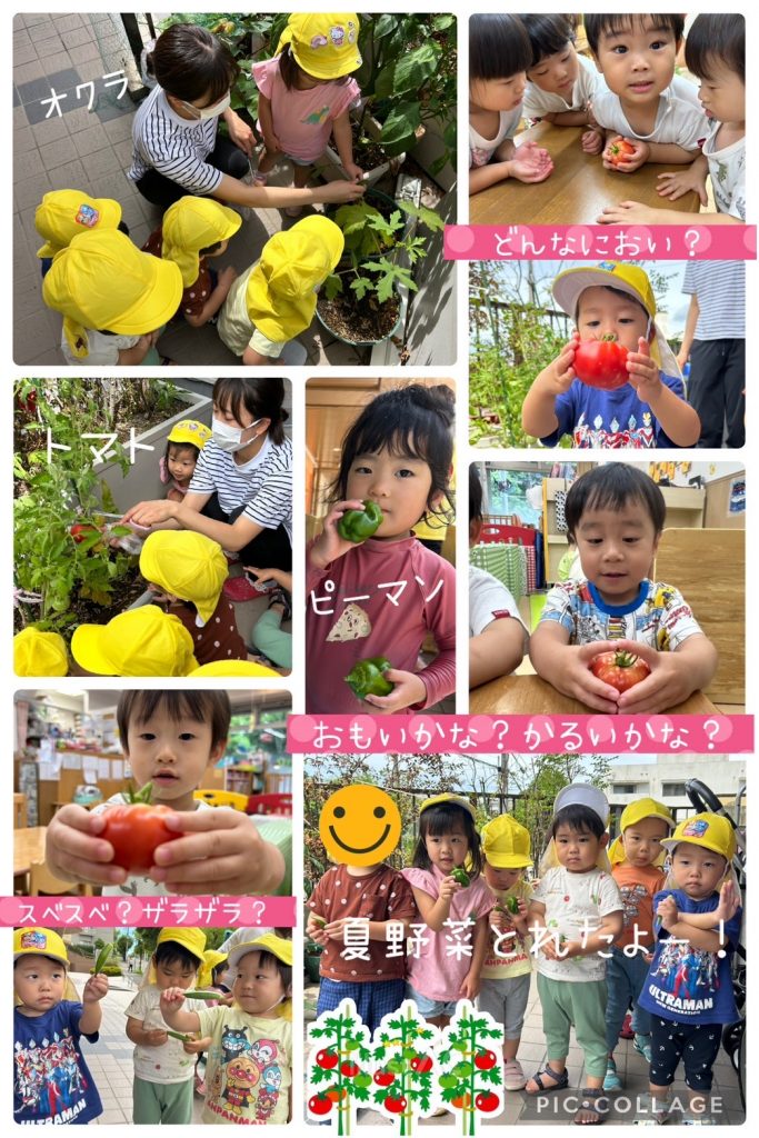 この画像には alt 属性が指定されておらず、ファイル名は IMG_2647-683x1024.jpg です